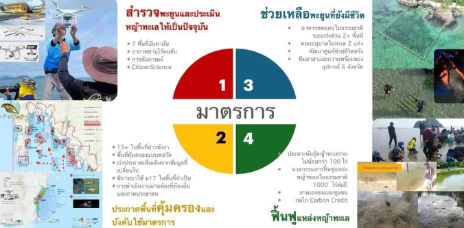 มาตรการแก้ไขปัญหาวิกฤตพะยูนเกยตื้นและหญ้าทะเล 4 มาตรการ