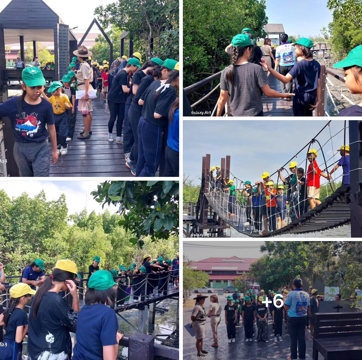 กรมทะเลชายฝั่ง บรรยายให้ความรู้ระบบนิเวศทางทะเลและธรรมชาติเกี่ยวกับป่าชายเลน จ.ชลบุรี