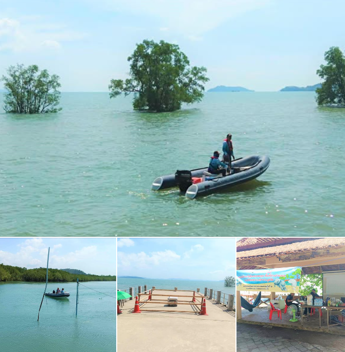 ทช ออกลาดตระเวนเฝ้าระวังสถานการณ์พะยูน อ่าวป่าคลอก