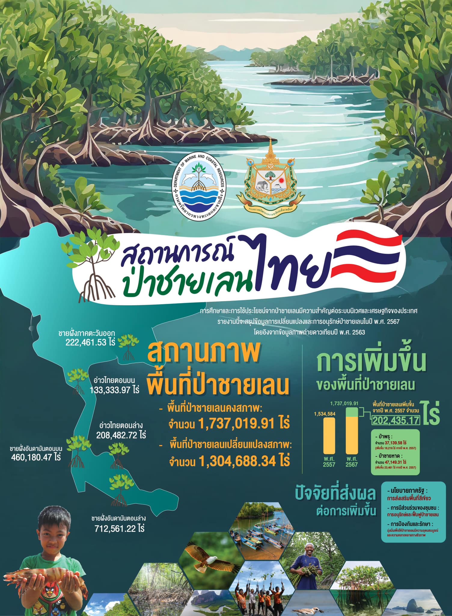 กรมทะเล ปลื้ม!! พื้นที่ป่าชายเลนเพิ่มกว่า 2 แสนไร่