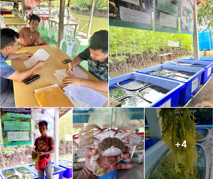 กรมทะเล เยี่ยมชุมชนชายฝั่ง ติดตามการดำเนินงานจากโครงการงบเงินอุดหนุนชุมชนชายฝั่ง ประจำปีงบประมาณ 2567