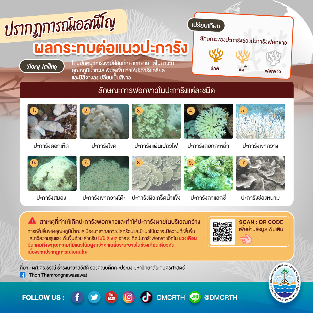 ปรากฎการณ์เอลนีโญและผลกระทบต่อแนวปะการัง!