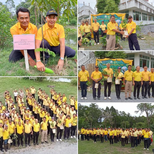กรมทะเล ร่วมโครงการปลูกป่าเฉลิมพระเกียรติและเพิ่มพื้นที่สีเขียวในวันต้นไม้ ประจำปีของชาติ พ.ศ. 2567 ณ วัดป่าห้วยพระ หมู่ที่ 5 ตำบลนาพรุ อำเภอพระพรหม จังหวัดนครศรีธรรมราช
