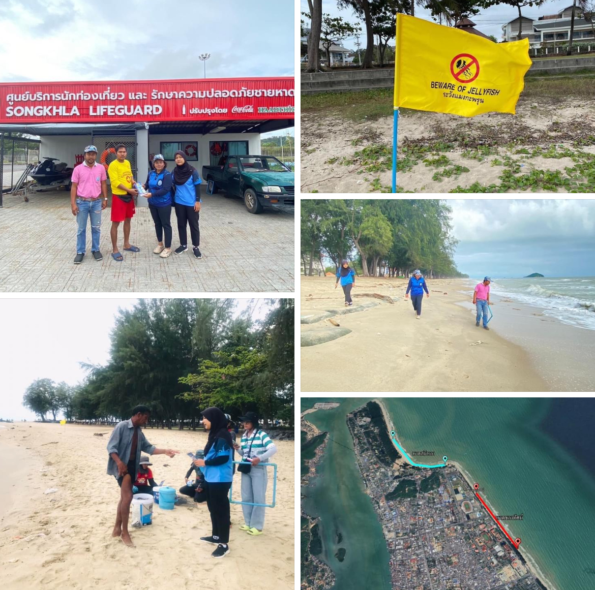 กรมทะเลชายฝั่ง ตรวจสอบการแพร่กระจายของแมงกะพรุนบริเวณชายหาดสมิหลา-ชลาทัศน์ จ.สงขลา