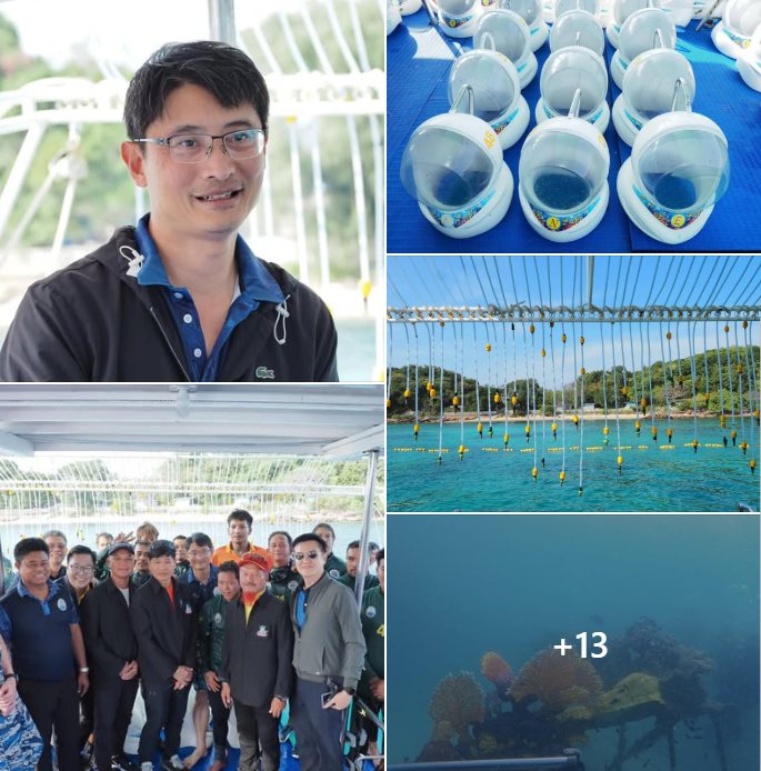 ดร.ปิ่นสักก์ นำทีมลุยดำน้ำเกาะล้าน ติดตามการจัดการพื้นที่ Sea walker พร้อมเผยความสำเร็จพื้นที่ปลูกปะการัง คืนความสมบูรณ์ใต้ท้องทะเล