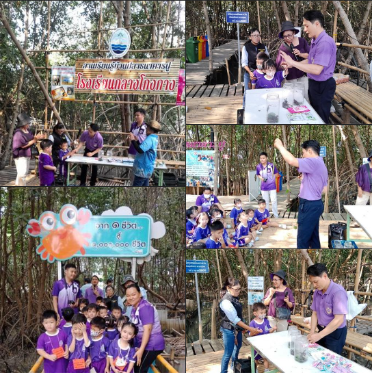 กรมทะเล เป็นวิทยากรให้ความรู้และทำกิจกรรมศึกษาธรรมชาติป่าชายเลน