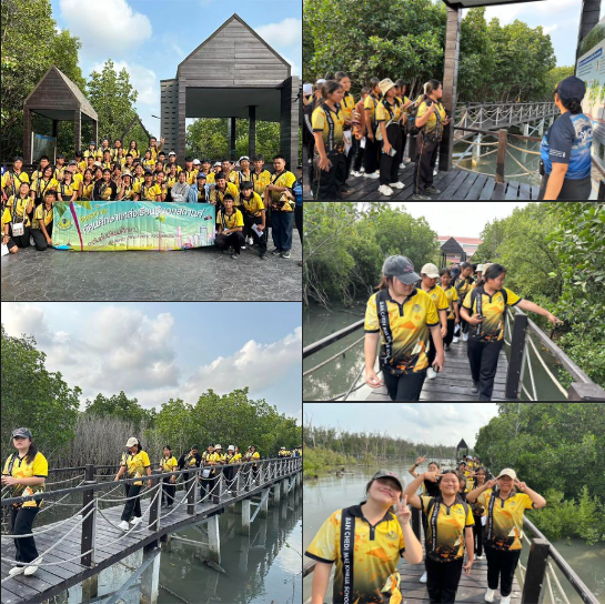 กรมทะเล พาชมป่าชายเลน และได้เป็นวิทยากรบรรยายให้ความรู้ทรัพยากรป่าชายเลน และเส้นทางศึกษาธรรมชาติ ในโครงการทัศนศึกษาแหล่งเรียนรู้นอกสถานที่ ณ ศูนย์ศึกษาธรรมชาติและอนุรักษ์ป่าชายเลนเพื่อการท่องเที่ยวเชิงนิเวศจังหวัดชลบุรี