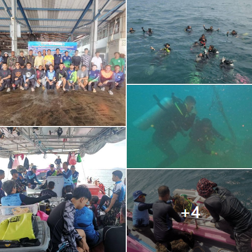 กรมทะเล ร่วมชมรมดำน้ำสมิหลา ฟื้นฟูทรัพยากรทางทะเลและชายฝั่งจังหวัดปัตตานี ทำความสะอาดบ้านปลาและปะการังเทียม พื้นที่ทะเลอำเภอไม้แก่น และอำเภอสายบุรี จังหวัดปัตตานี