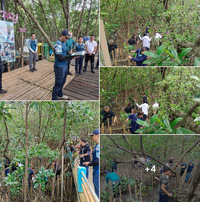 กรมทะเล บรรยายให้ความรู้เกี่ยวกับป่าชายเลน พร้อมสาธิตวิธิการปลูกป่าชายเลน