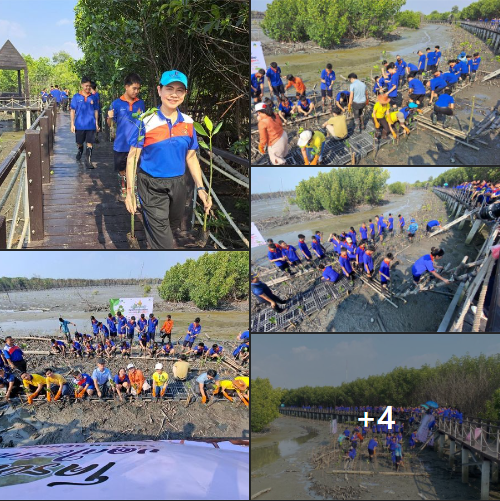 กรม ทช. ร่วมจัดโครงการปลูกต้นไม้ ปลูกใจรักษ์สิ่งแวดล้อม “Green School Green Community”