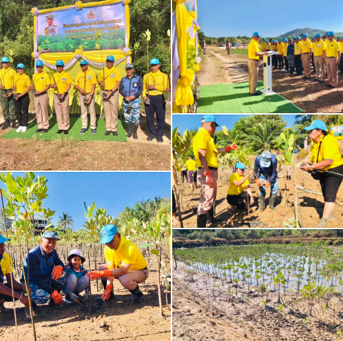 กรมทะเล ร่วมกับทัพเรือภาค 3 จัดกิจกรรมปลูกป่าชายเลนเฉลิมพระเกียรติฯเนื่องในโอกาสปีมหามงคล 2567 ในหลวง รัชกาลที่ 10 ทรงเจริญพระชนมพรรษา ครบ 72 พรรษา