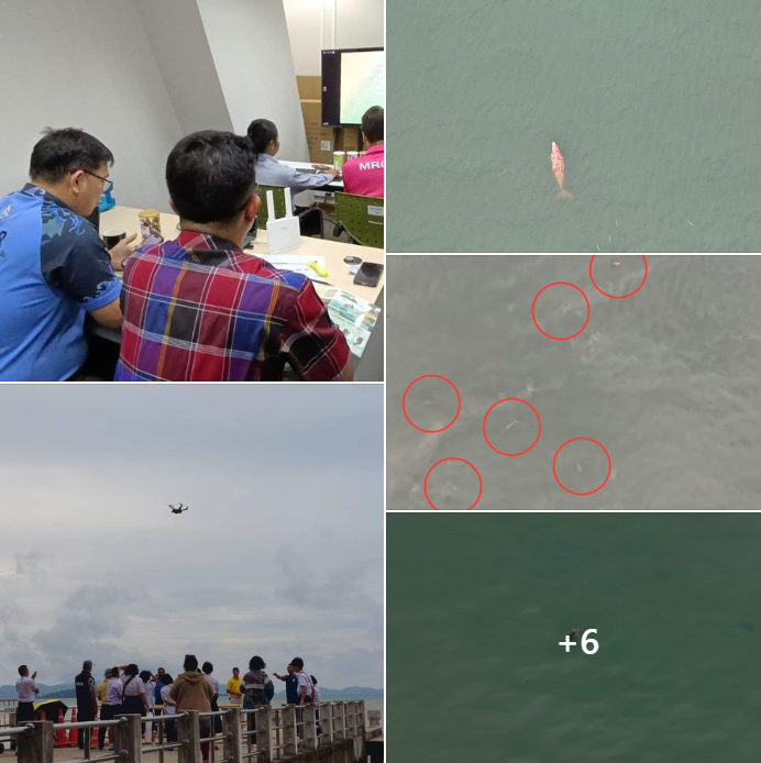 กรมทะเล สำรวจ ติดตาม และเฝ้าระวังแหล่งที่อยู่อาศัยของพะยูน บริเวณอ่าวป่าคลอก อำเภอถลาง จังหวัดภูเก็ต ด้วยอากาศยานไร้คนขับแบบอัตโนมัติ