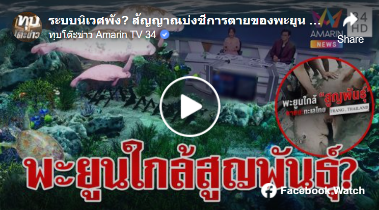 ระบบนิเวศพัง? สัญญาณบ่งชี้การตายของพะยูน | ทุบโต๊ะข่าว