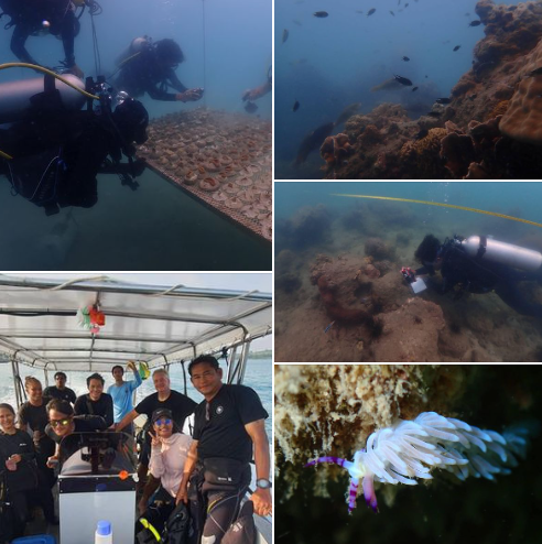 กรมทะเล ร่วมกับ Coral Gardeners สำรวจระบบนิเวศแนวปะการังด้วยวิธีการ Line transect จำนวน 3 สถานี และ Spot check บริเวณหมู่เกาะหมาก จังหวัดตราด