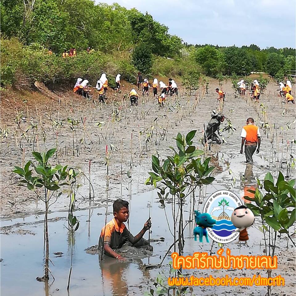 สวัสดี พี่น้องเครือข่ายรักษ์ทะเลไทย
