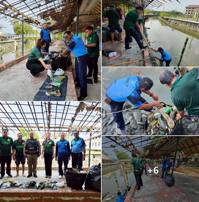 กรมทะเล ดำเนินการจัดเก็บขยะที่ตกค้างในระบบนิเวศ จากทุ่นกักขยะ SCG DMCR Litter Trap จ.สมุทรสาคร