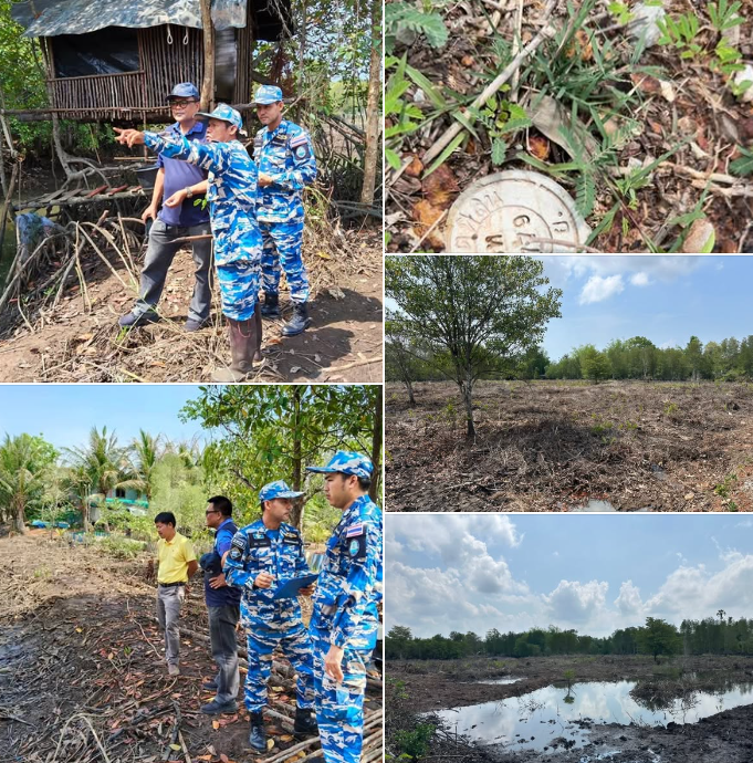 ศูนย์บริหารจัดการทรัพยากรป่าชายเลนจังหวัดระยอง ตรวจสอบพื้นที่ร้องเรียนการถางป่าชายเลนริมถนนบูรพาชลทิต จ.ระยอง