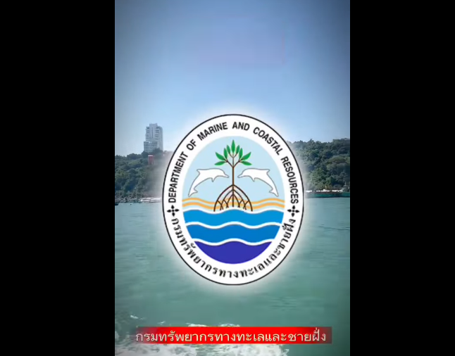 กรมทะเล สำรวจติดตามผลการปลูกปะการังหลังการปลูกฟื้นฟู พื้นที่หาดเกเร เกาะล้าน จังหวัดชลบุรี