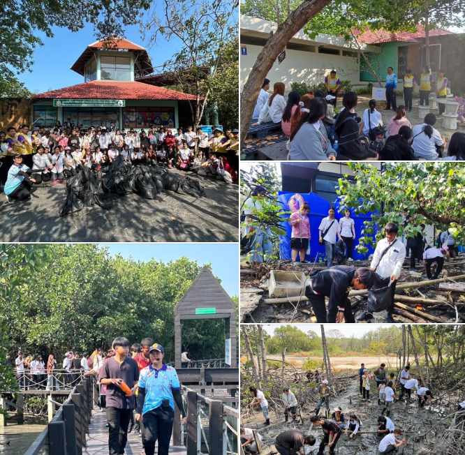 กรมทะเล พาคณะ นศ. ทำกิจกรรมเก็บขยะ ปลูกป่าชายเลน ณ ศูนย์ศึกษาธรรมชาติและอนุรักษ์ป่าชายเลนเพื่อการท่องเที่ยวเชิงนิเวศ ตำบลเสม็ด อำเภอเมือง จังหวัดชลบุรี