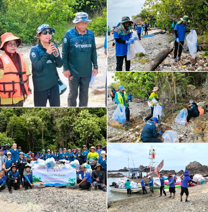 ทช.รวมพลังชุมชน-เอกชน เก็บขยะเกาะหนูเกาะแมว พร้อมปล่อยเต่าทะเลคืนธรรมชาติ