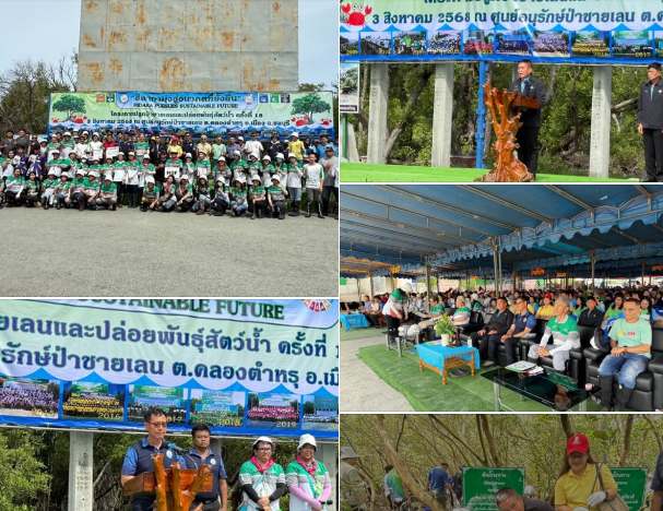 ทช. กับภาคีเครือข่ายร่วมใจปลูกป่าชายเลน – ปล่อยปลากะพง 15,000 ตัว สร้างสมดุลธรรมชาติ เฉลิมพระเกียรติวันแม่แห่งชาติ