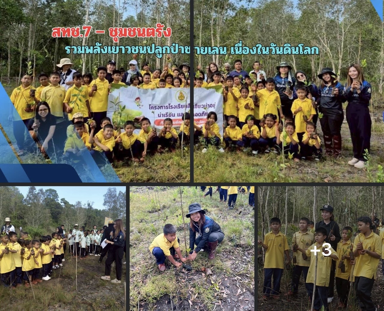 สทช.7 – ชุมชนตรัง รวมพลังเยาวชนปลูกป่าชายเลน เนื่องในวันดินโลก ฟื้นฟูธรรมชาติอย่างยั่งยืน