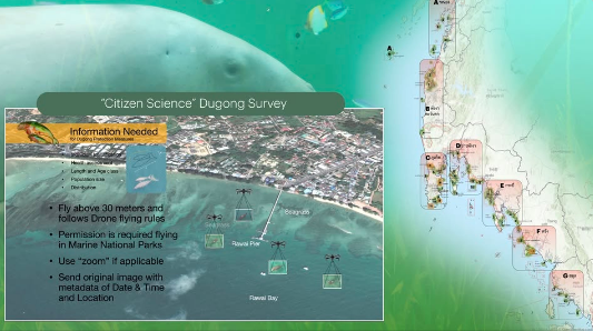 ภารกิจแข่งกับเวลา !!! ประกาศหาอาสาสมัครช่วยบินโดรนสำรวจพะยูน ("Citizen Scientists" for dugong drone-survey)