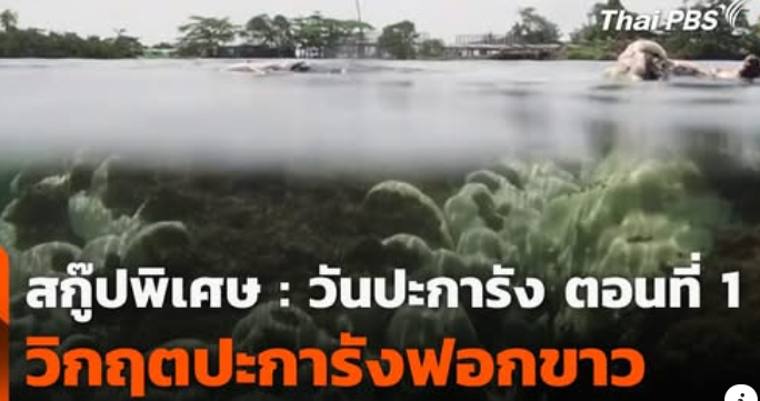 ตอนที่ 1: วิกฤตปะการังฟอกขาว