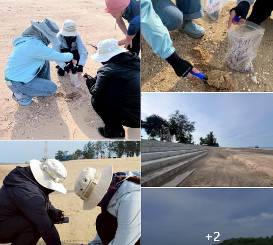 กรมทะเล สำรวจและเก็บตัวอย่างตะกอนทรายชายหาด บริเวณหาดปราณบุรี ตำบลปากน้ำปราณ อำเภอปราณบุรี จังหวัดประจวบคีรีขันธ์