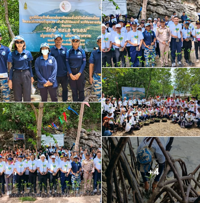 สถาบันวิจัยฯ ร่วมกิจกรรม “รักษ์ทะเลขนอม” ปลูกหญ้าทะเล-ป่าชายเลน สร้างอนาคตทะเลไทยอย่างยั่งยืน