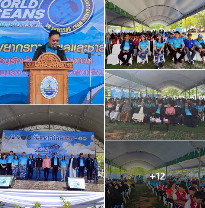 สทช.4 จัดใหญ่! “30+ Island Clean Up So Cool Mission 2025” รวมพลังรักษ์ทะเลวันทะเลโลก
