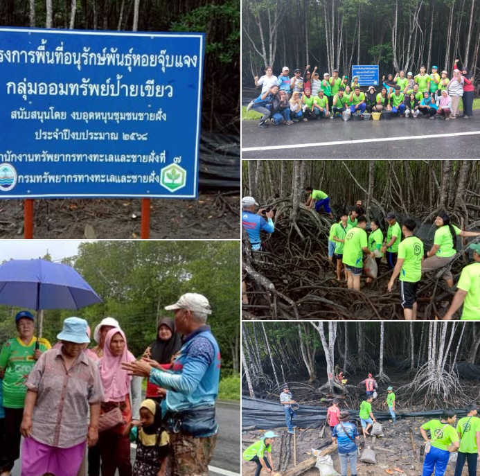 สทช.7 รวมพลังปล่อยพันธุ์หอยจุ๊บแจง ฟื้นฟูทะเลสตูล อนุรักษ์ทรัพยากร สร้างรายได้ชุมชน