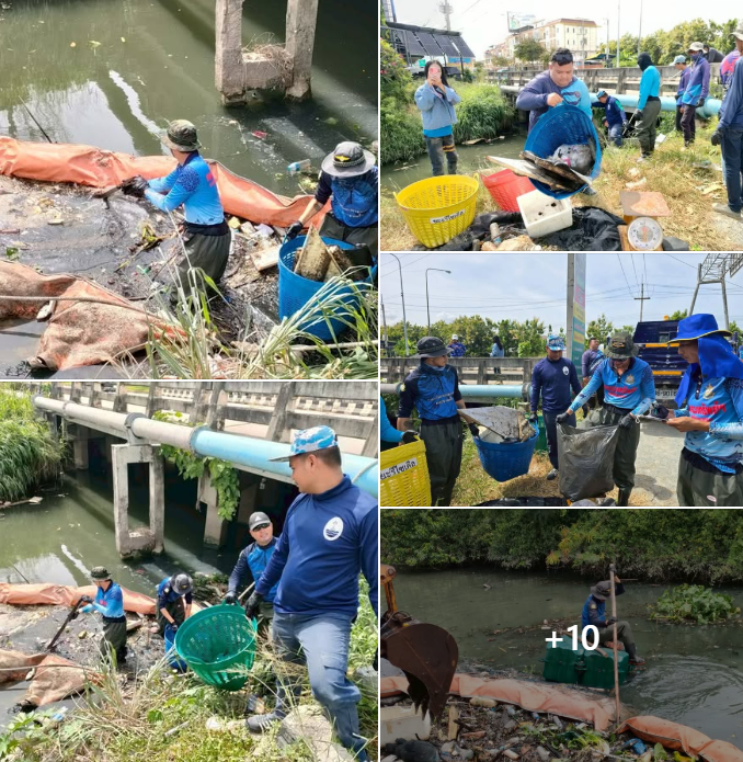 กรม ทช. ร่วมกับเทศบาลเมืองแสนสุข และภาคีเครือข่าย ลงพื้นที่จัดเก็บขยะจากทุ่นกักขยะ จ.ชลบุรี