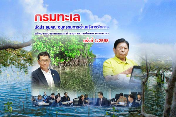 กรมทะเล ประชุมขับเคลื่อนบริหารจัดการป่าชายเลนและป่าชายหาด ยกระดับการอนุรักษ์และใช้ประโยชน์อย่างยั่งยืน
