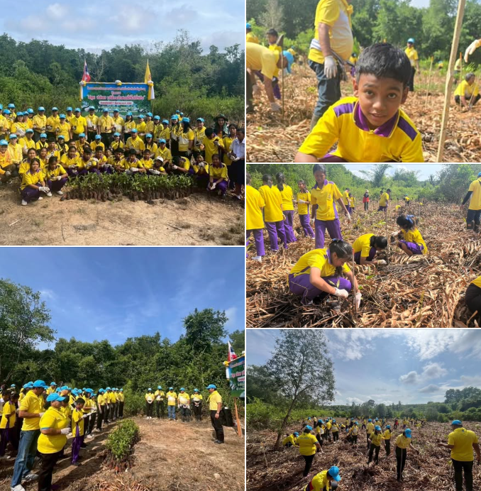 สทช.7 รวมพลังชุมชนคลองชีล้อม “ปลูก ปล่อย เปลี่ยน” ร่วมใจฟื้นฟูป่าชายเลน เฉลิมพระเกียรติฯ ในหลวง ร.10 ณ ตรัง