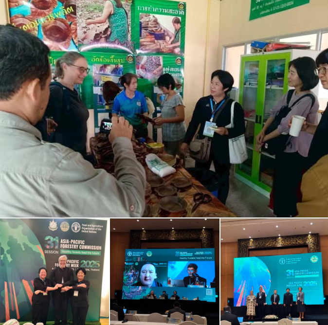 ทช. เข้าร่วมประชุม APFC31 / APFW2025 เชียงใหม่
