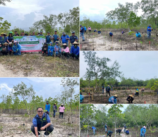 สทช.4 จัดกิจกรรมเนื่องในวันป่าชายเลนแห่งชาติ และวันต้นไม้ประจำปีของชาติ 2568