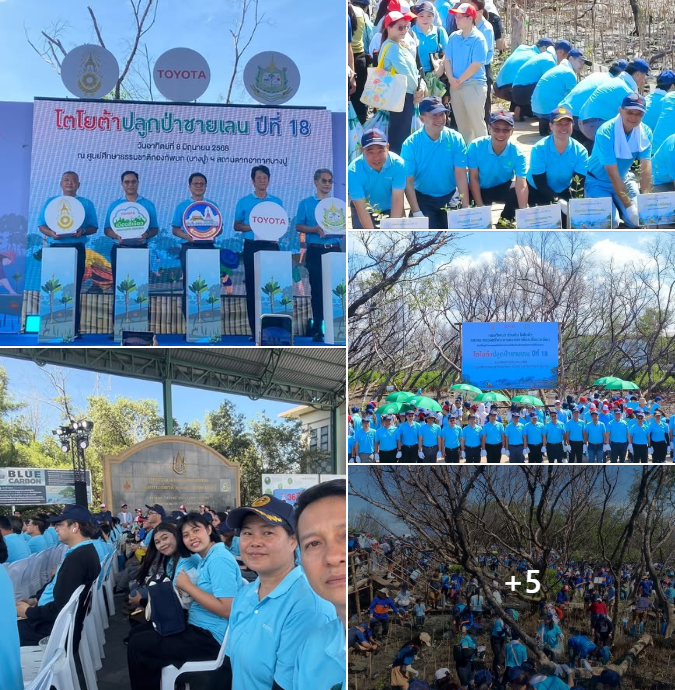 สทช.2 ร่วมปลูกป่าชายเลนปีที่ 18 ปลูกต้นไม้ 30,000 ต้น สร้างสมดุลสิ่งแวดล้อมที่บางปู