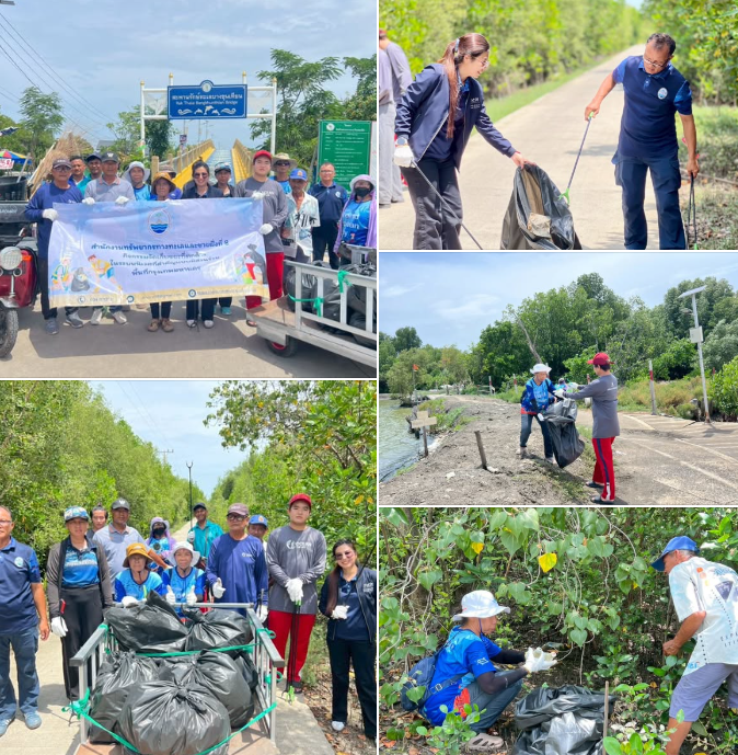 กรมทะเล ร่วมเครือข่ายฯ จัดเก็บขยะที่ตกค้างในระบบนิเวศที่สำคัญแบบมีส่วนร่วม ณ สะพานรักษ์ทะเลบางขุนเทียน แขวงท่าข้าม เขตบางขุนเทียน กรุงเทพมหานคร
