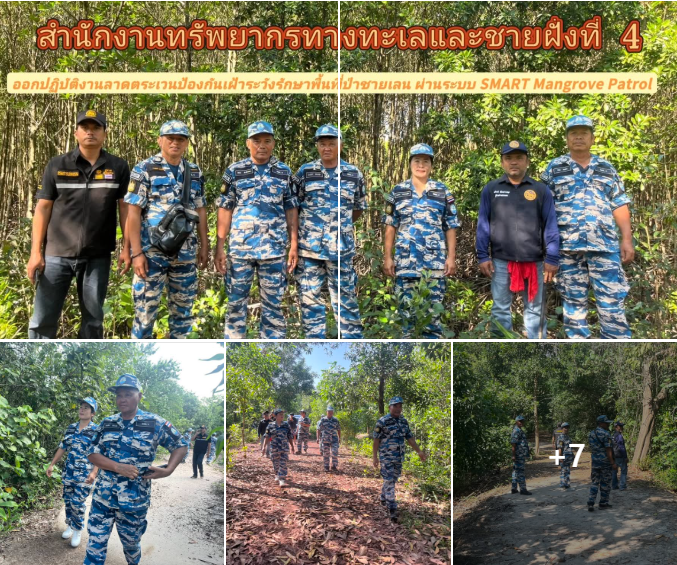 กรมทะเลชายฝั่ง ร่วมกับผู้ใหญ่บ้าน ,ผู้ช่วยผู้ใหญ่บ้าน ม.12 ต.บางน้ำจืด อ.หลังสวน จ.ชุมพร ออกปฏิบัติงานลาดตระเวนป้องกันเฝ้าระวังรักษาพื้นที่ป่าชายเลน ผ่านระบบ SMART Mangrove Patrol