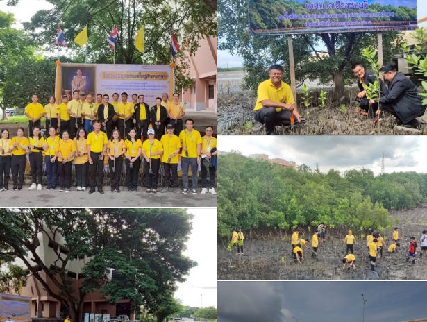 กรม ทช. ร่วมกับเทศบาลเมืองชลบุรี จัดทำโครงการอนุรักษ์และฟื้นฟูป่าชายเลน ประจำปีงบประมาณ 2568 ณ บริเวณพื้นที่ป่าชายเลนถนนโรงพยาบาลเก่า (หลังศาลารวมใจ) ตำบลบางปลาสร้อย อำเภอเมืองชลบุรี จังหวัดชลบุรี
