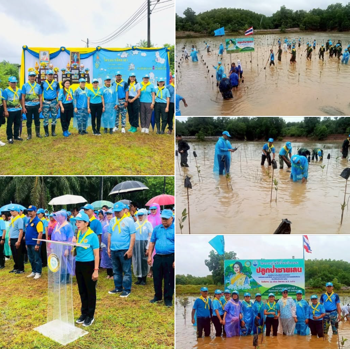 กรมทะเล ร่วมกับ อบต.กะเปอร์ จัดกิจกรรมอนุรักษ์สัตว์น้ำและป่าชายเลน เนื่องในโอกาสวันเฉลิมพระชนมพรรษาสมเด็จพระนางเจ้าสิริกิต์ พระบรมราชินีนาถ พระบรมราชชนนีพันปีหลวง