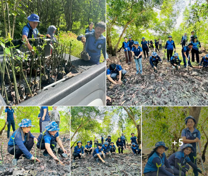 กรมทะเลชายฝั่ง จัดกิจกรรมวันป่าชายเลนแห่งชาติ และวันต้นไม้ประจำปีของชาติ พ.ศ. 2568 จังหวัดสงขลา