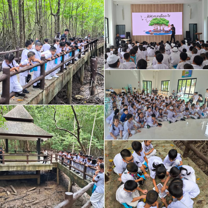 เปิดโลกการเรียนรู้ป่าชายเลนระนอง สู่มรดกโลก