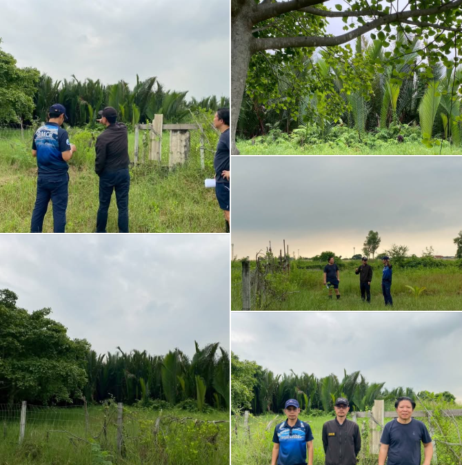 ทช. ตรวจสอบพื้นที่ป่าชายเลนสมุทรปราการ รับรองที่ดินตามหลักเกณฑ์กฎหมาย