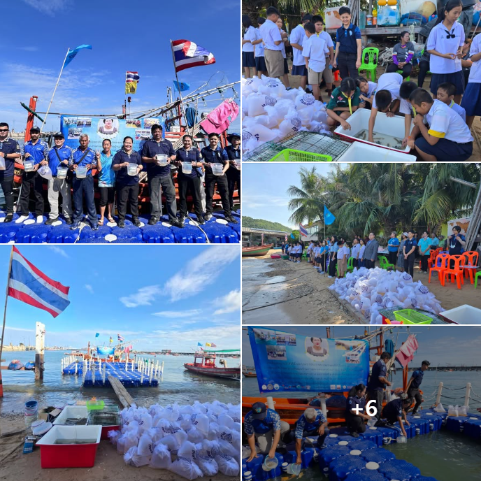 สทช.2 ร่วมปล่อยพันธุ์สัตว์น้ำบ้านอ่าวอุดม เฉลิมพระเกียรติฯ และอนุรักษ์ทะเลไทย