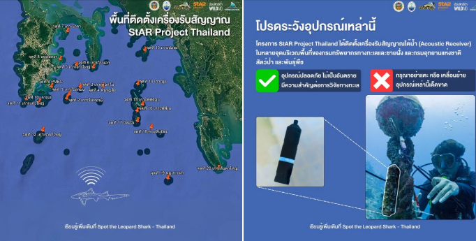 กรมทะเล ขอความร่วมมือนักดำน้ำโปรดระวัง ‘เครื่องรับสัญญาณเสียง’ ในบริเวณ 20 จุดดำน้ำ บริเวณอ่าวพังงา
