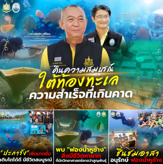 คืนความสมบูรณ์ใต้ท้องทะเล ความสำเร็จที่เกินคาด ขอชื่นชมอาสาทางทะเลทุกภาคส่วน ที่ร่วมกันค้นพบความลับใต้ท้องทะเลที่ยอดเยี่ยม และช่วยกันอนุรักษ์ไว้ให้คงอยู่อย่างยั่งยืน