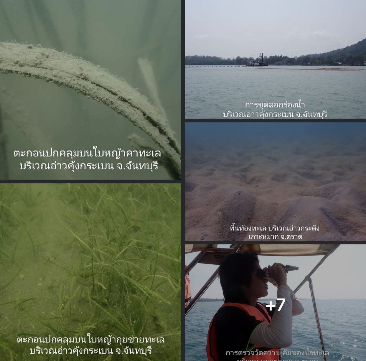 กรม ทช. สำรวจประเมินสถานภาพหญ้าทะเล บริเวณเกาะหมากและเกาะกระดาด จ.ตราด