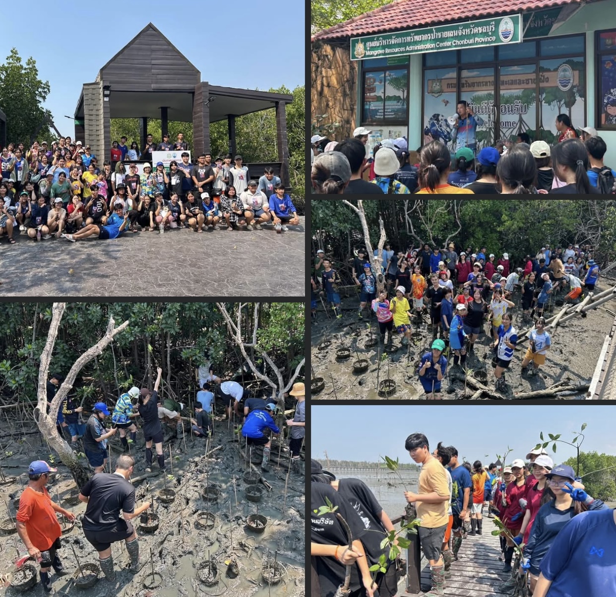 กรมทะเล ร่วมเครือข่ายฯ พาเยาวชนปลูกป่าชายเลน ณ  ศูนย์ศึกษาธรรมชาติและอนุรักษ์ป่าชายเลนเพื่อการท่องเที่ยวเชิงนิเวศ ตำบลเสม็ด อำเภอเมือง จังหวัดชลบุรี